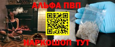 шишки Тверь