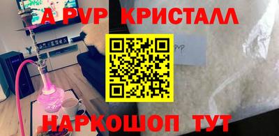 шишки Тверь
